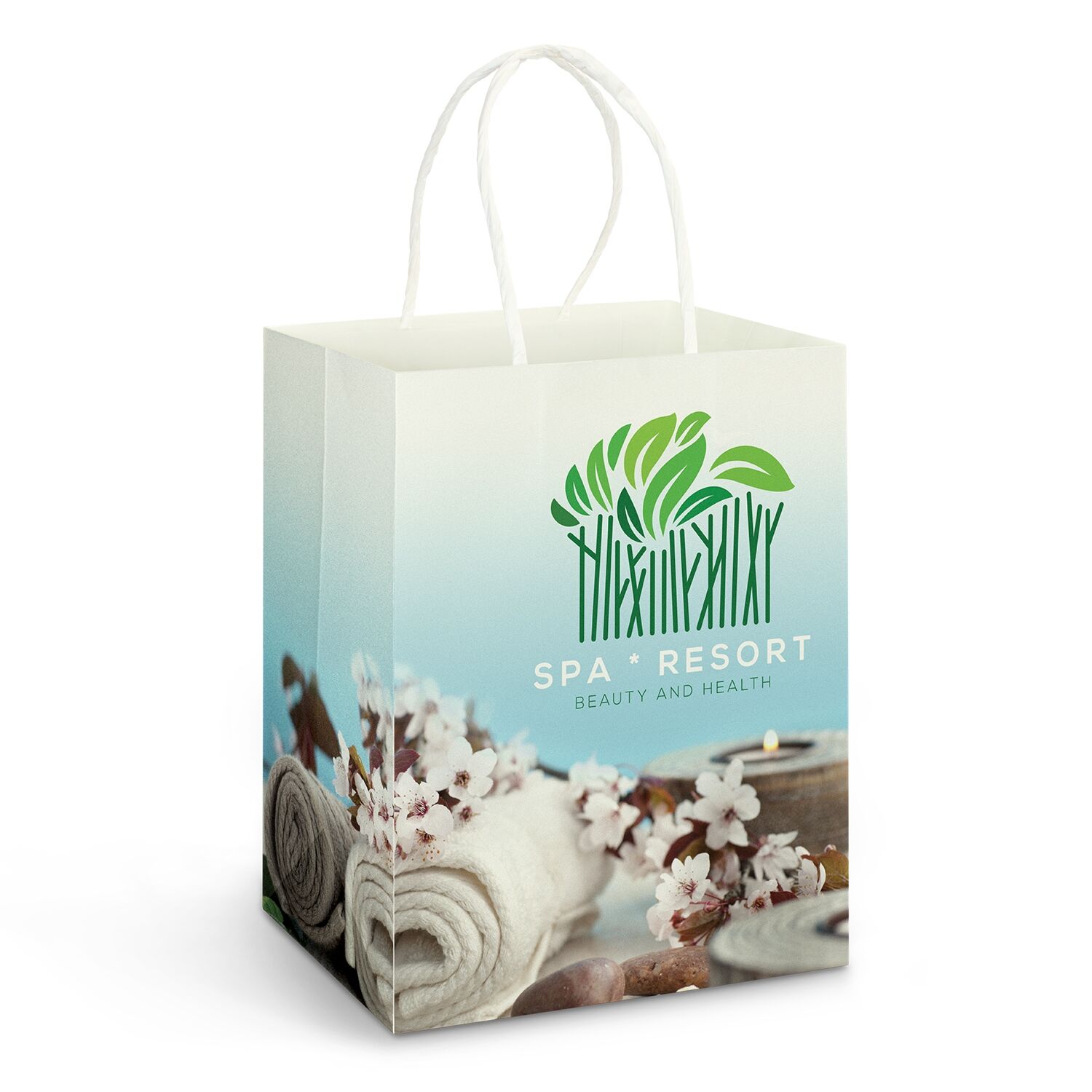 Promotional Large Paper Carry Bag - Full Colour